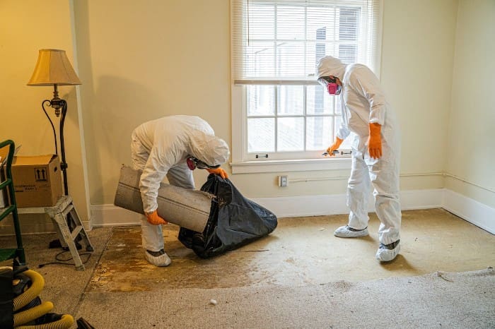Understanding the Role of Crime Scene Cleanup Experts