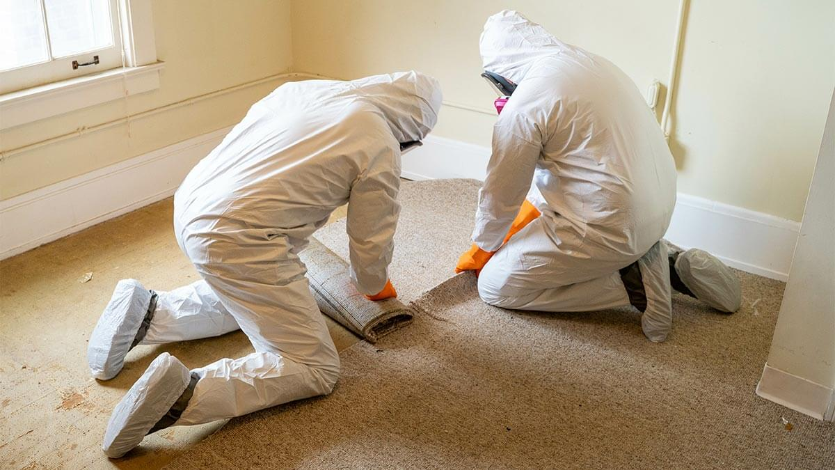 Biohazard cleanup companies in Vancouver, OR