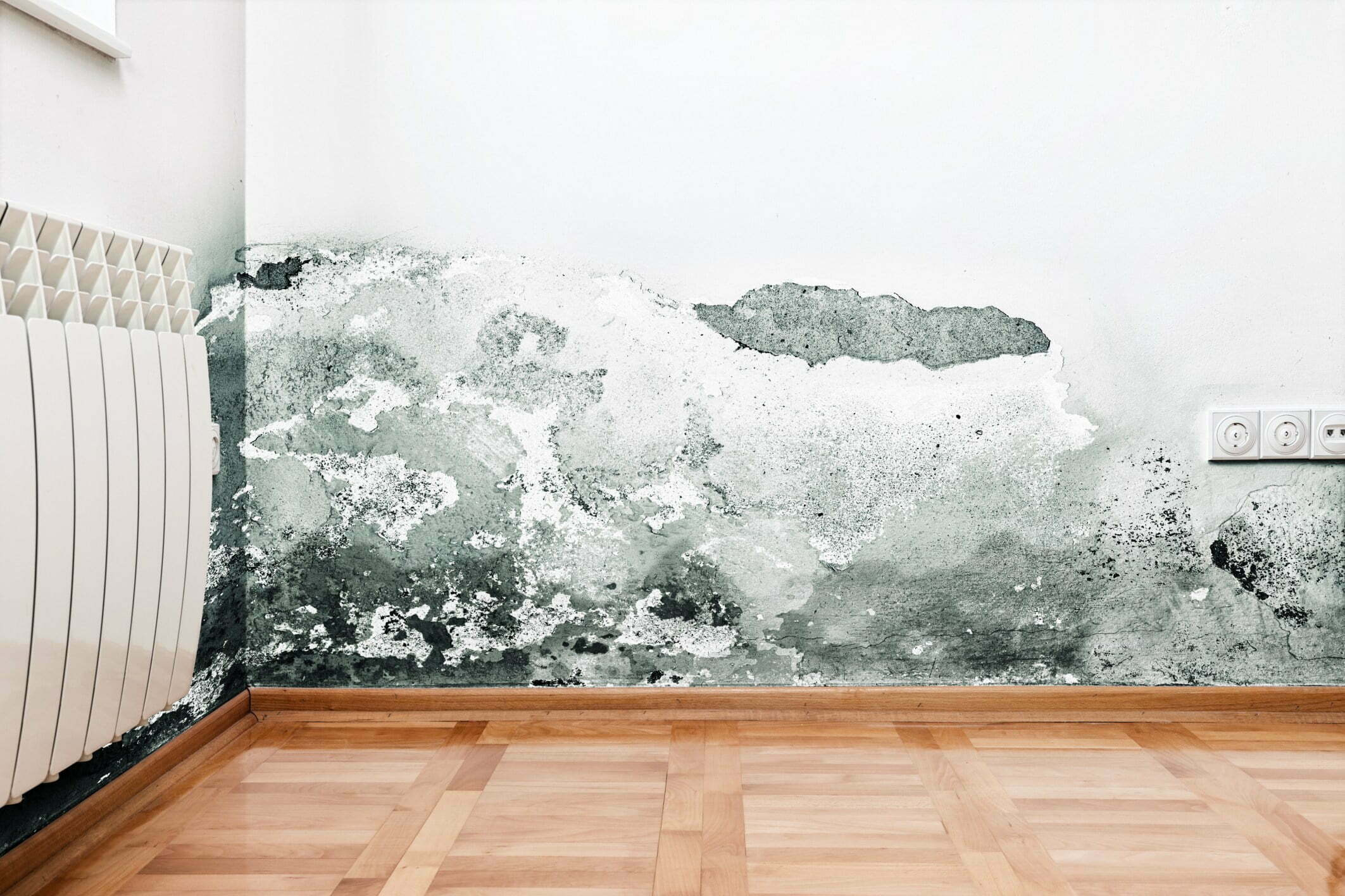 Mold Damage Restoration Near At in Vancouver; OR
